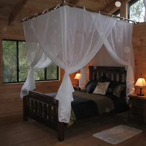 Ravensbourne Forest Chalets Palmtree